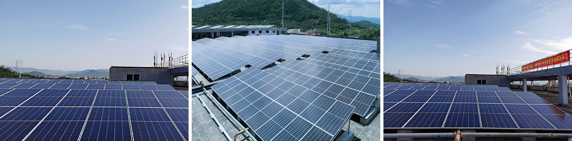 中文无码熟妇人妻AV在线