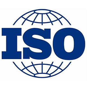 中文无码熟妇人妻AV在线