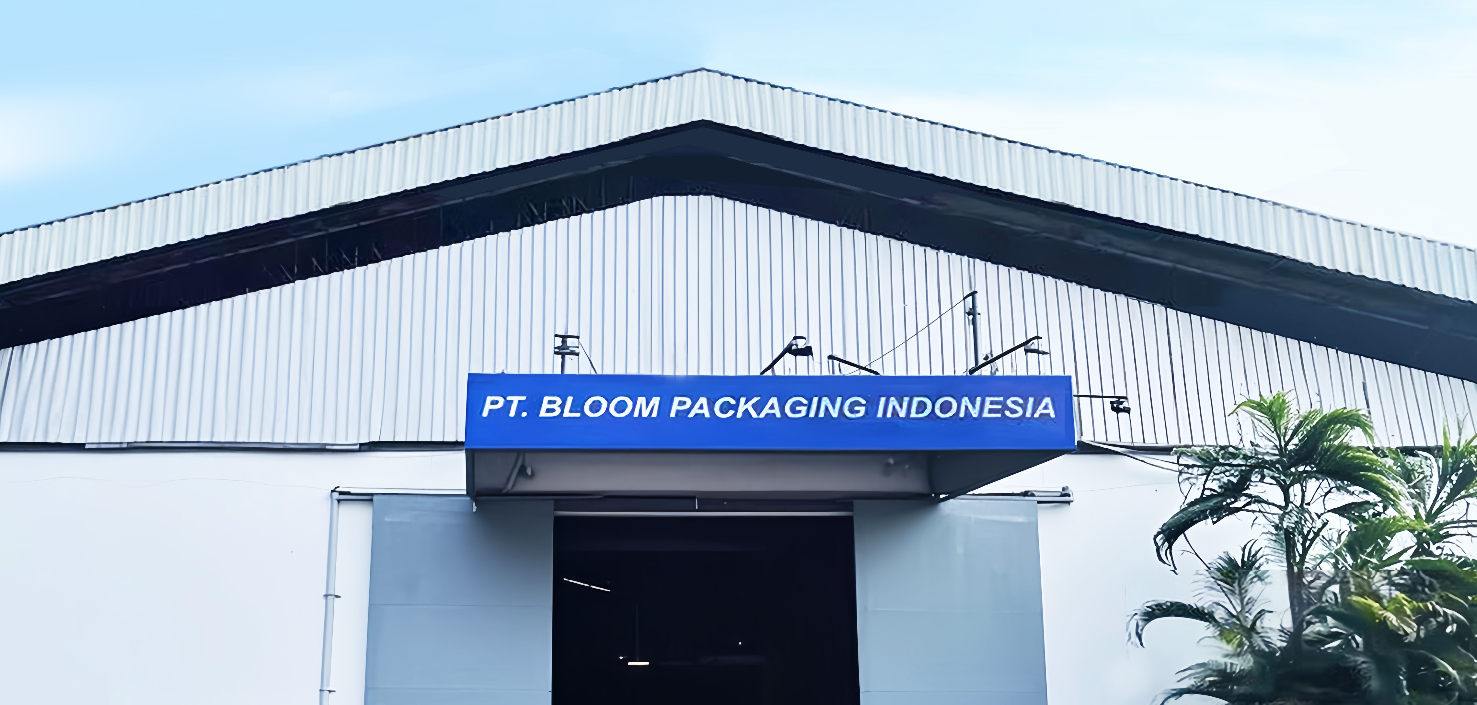 中文无码熟妇人妻AV在线